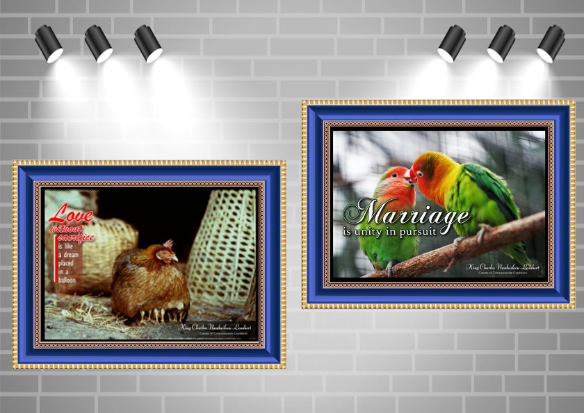 Wall Portrait Collection 1