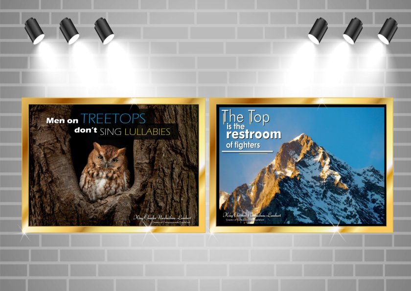 Wall Portrait Collection 1